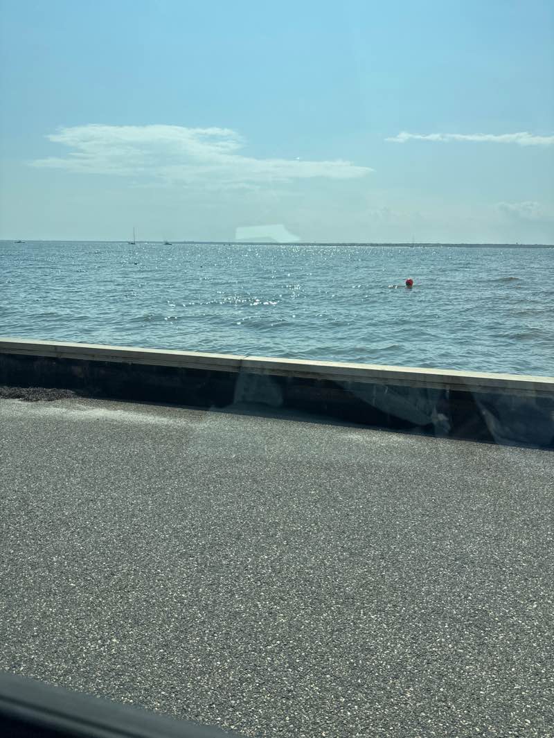 walking near me in Berkeley Harbor Marina in autumn