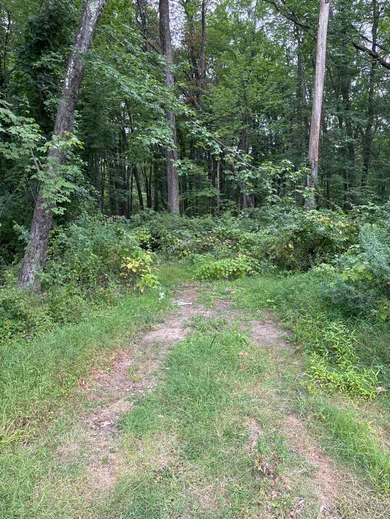 walking near me in Wrensch Park in autumn
