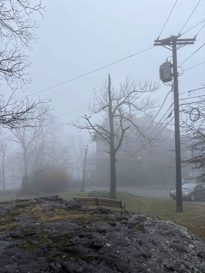 walking near me in Kip's Castle Park in spring