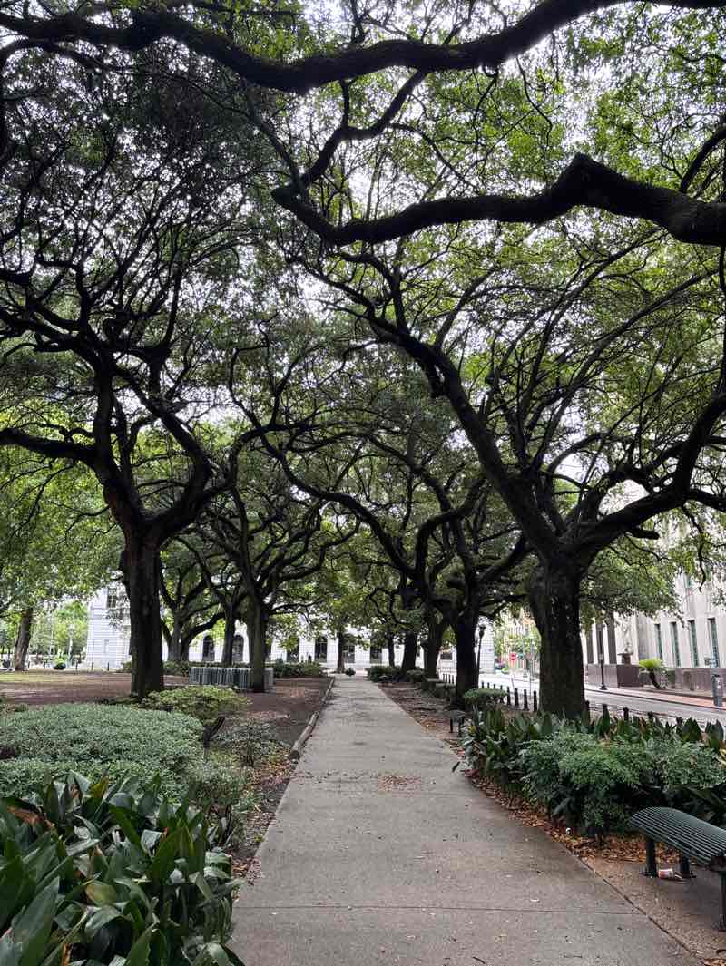 walking near me in Lafayette Square in spring