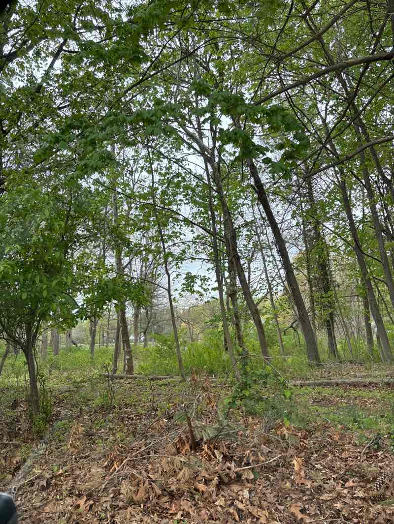 walking near me in Egan Field in spring