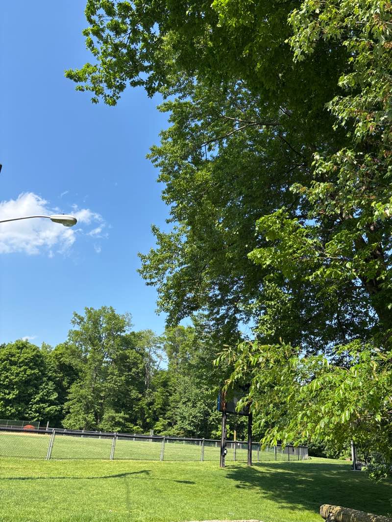 walking near me in Francisco Park in summer