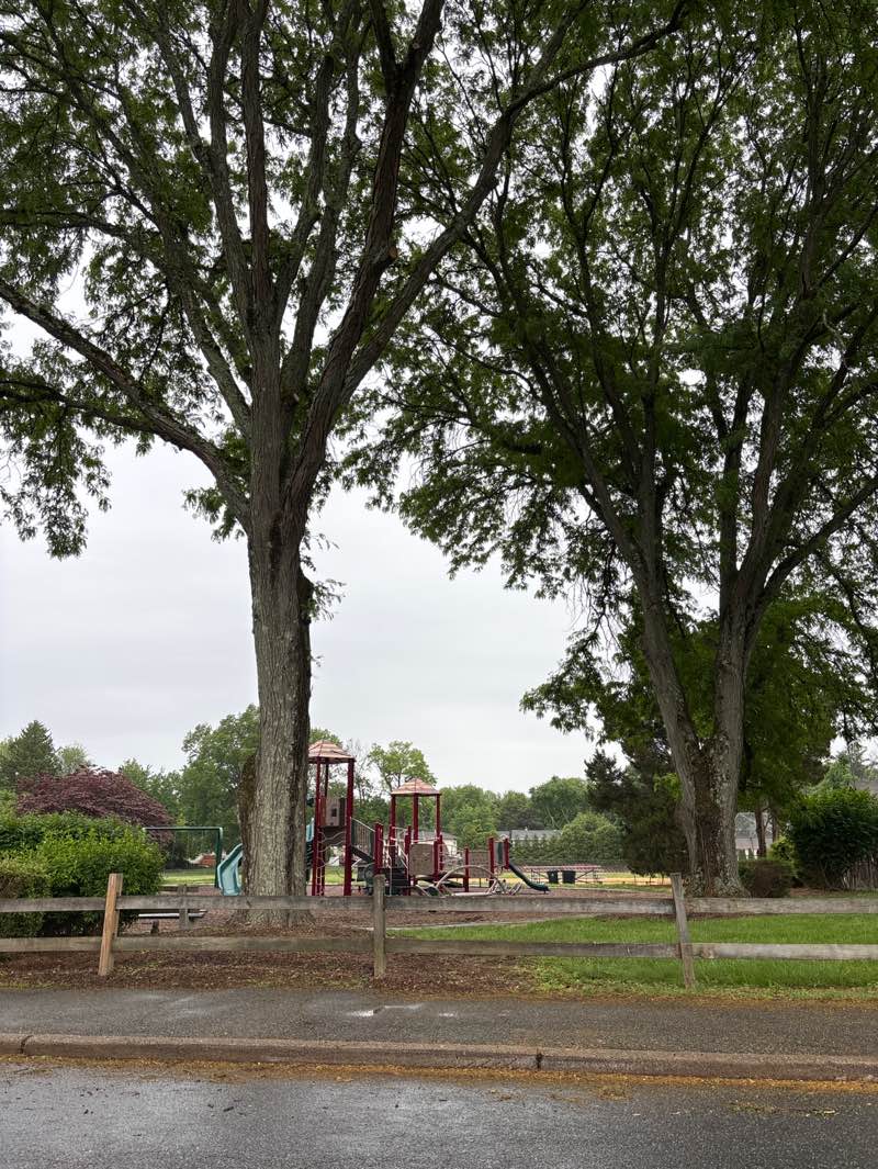 walking near me in Hills of Troy Park in summer