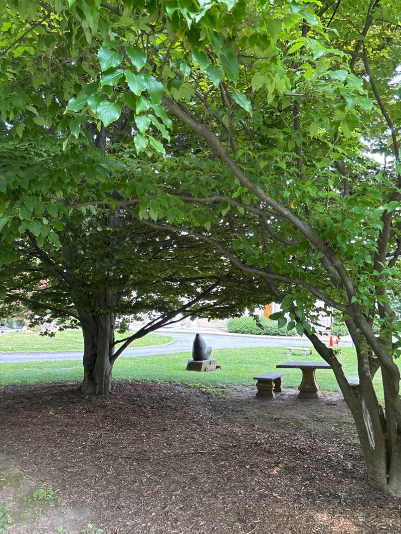 walking near me in Montclair Art Museum park area in summer