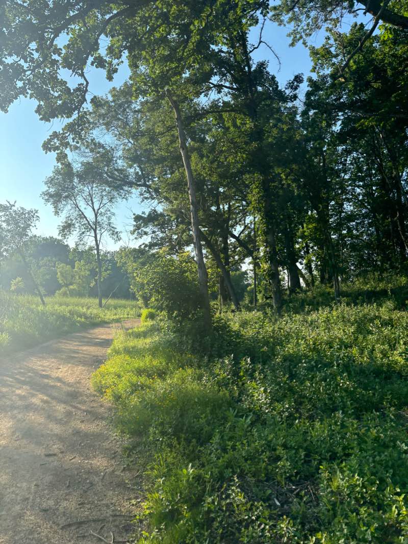 walking near me in Ford Park in winter