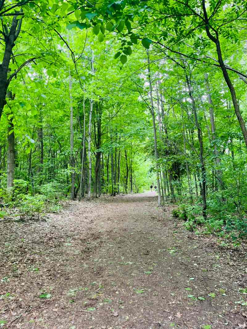 walking near me in Conroy Pit in summer