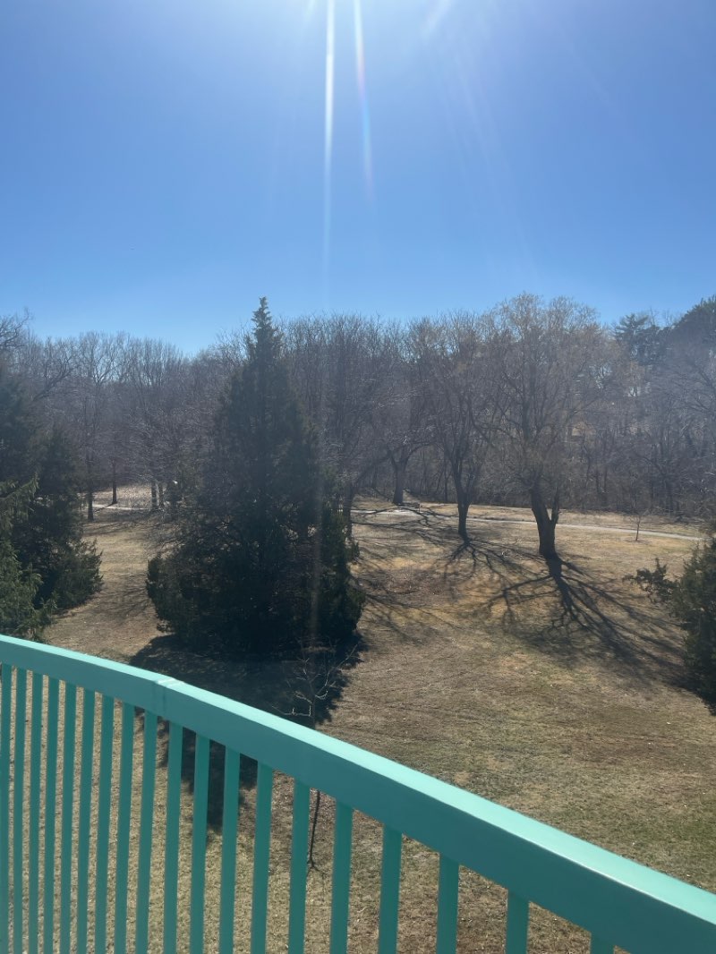 walking near me in Elmwood Park in spring