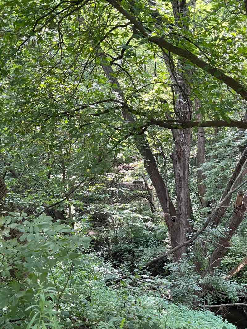 walking near me in Memorial Park in summer