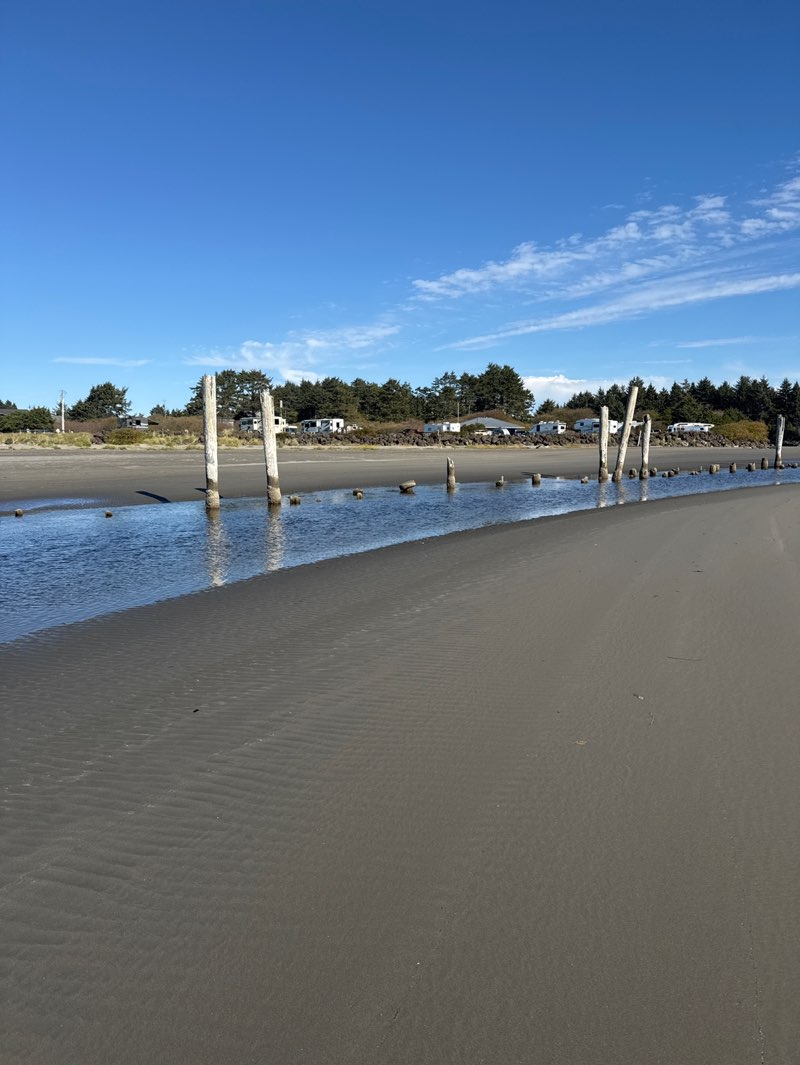 walking near me in Pacific Beach State Park in autumn
