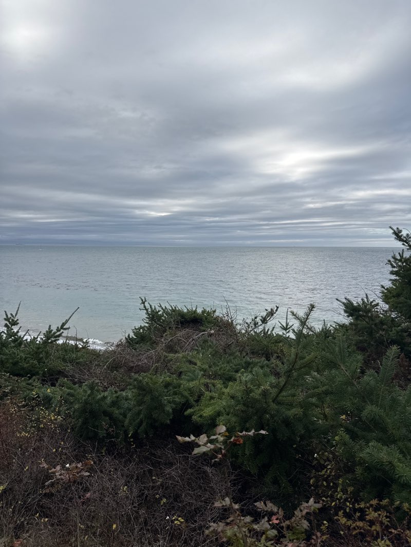 walking near me in Fort Ebey State Park in autumn
