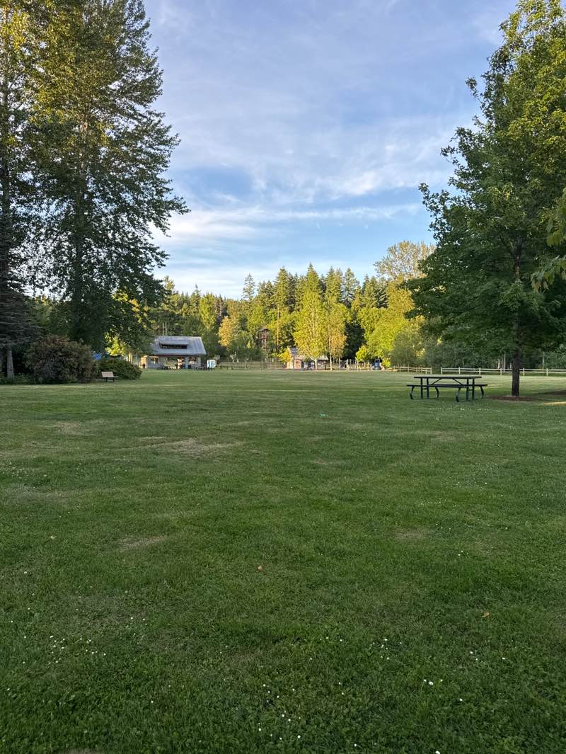 walking near me in Cottage Lake Park in summer