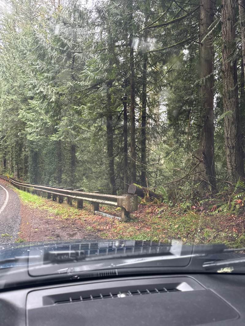 walking near me in Duthie Hill Park in spring