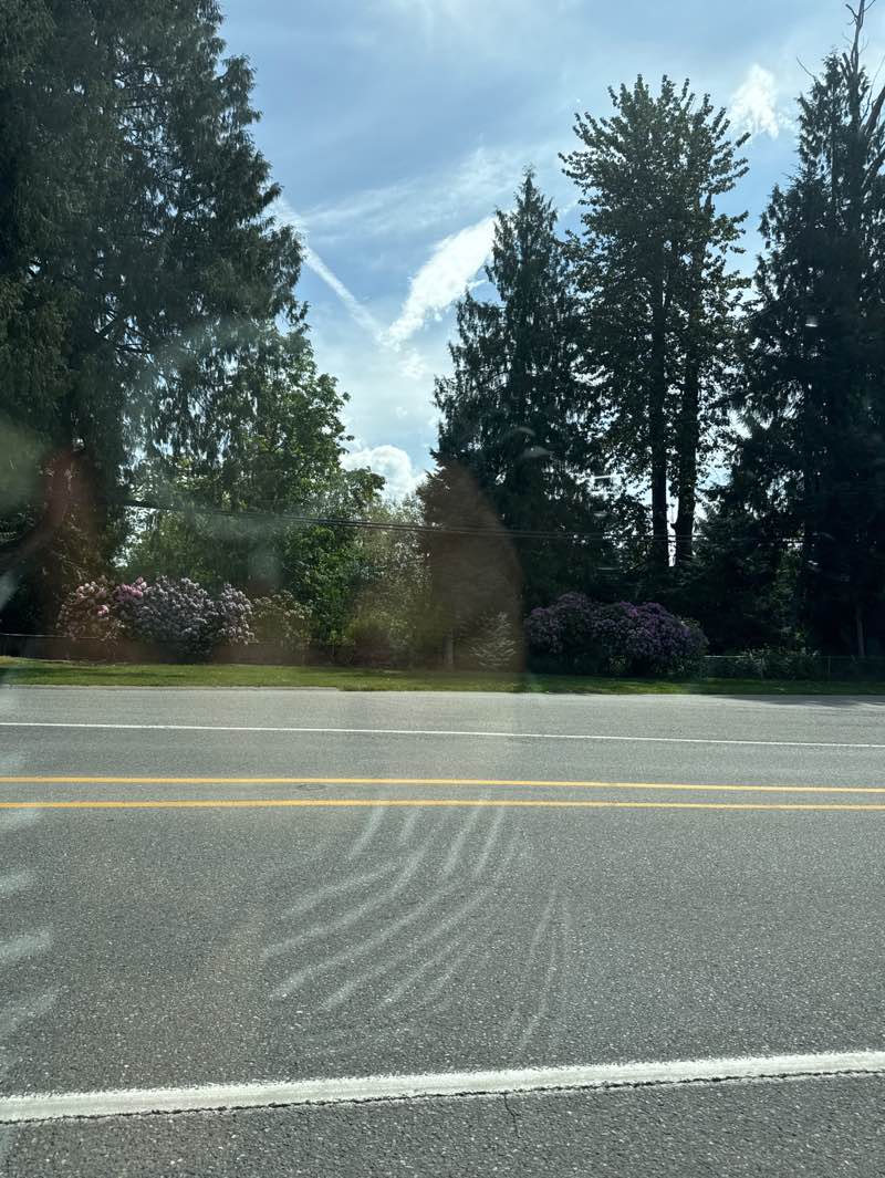 walking near me in Lewis Street Park in spring