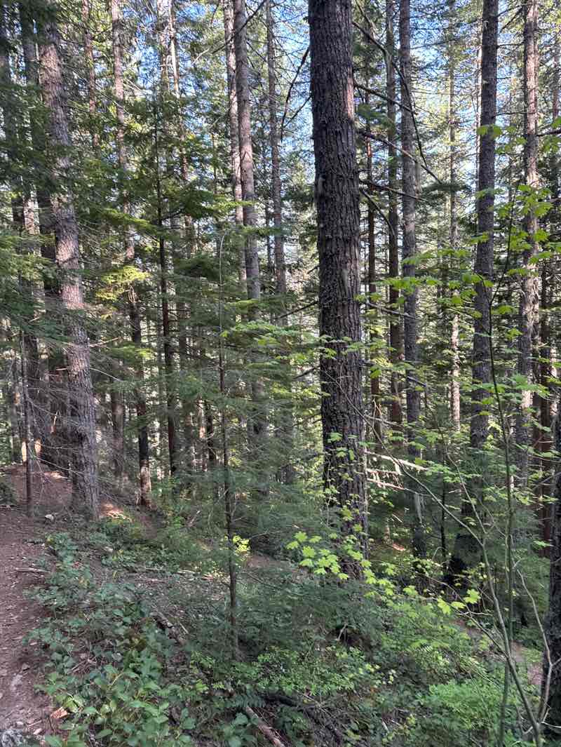 walking near me in Alpine Lakes Wilderness in spring