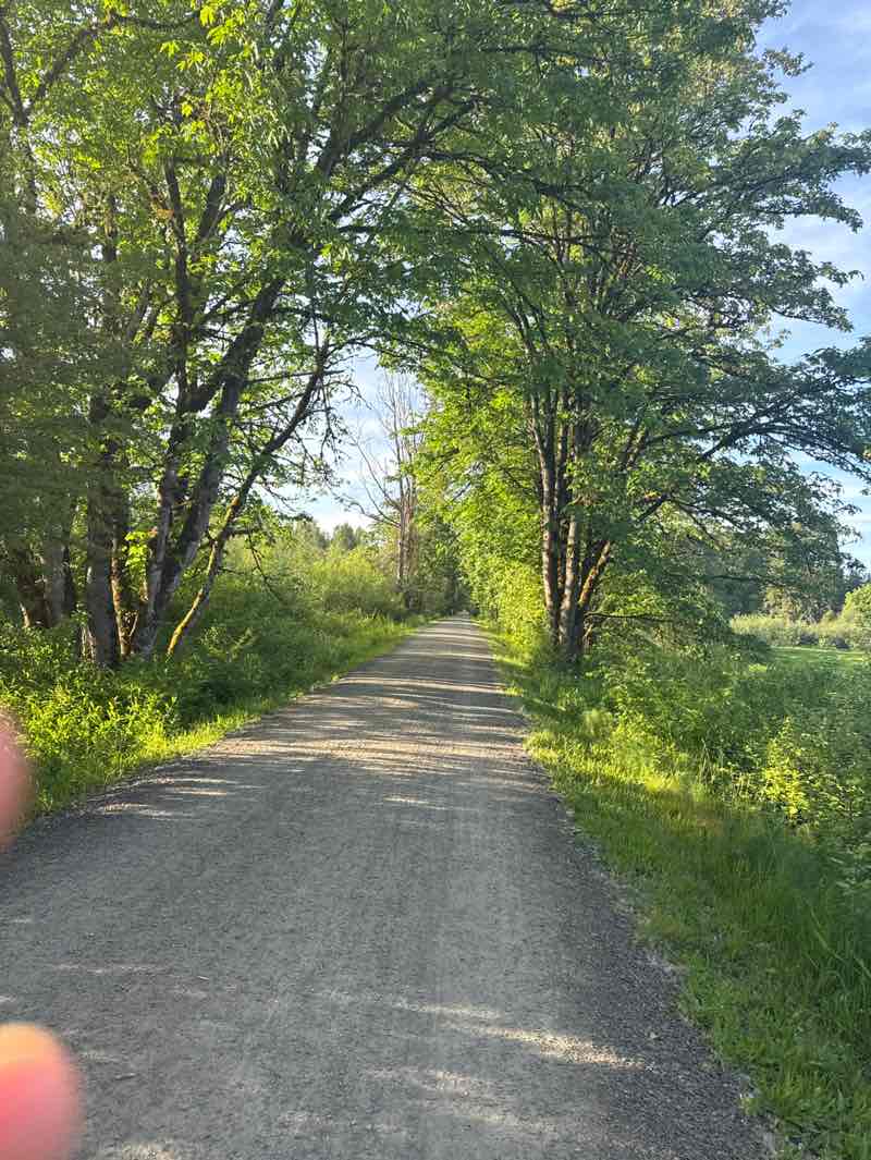 walking near me in McCormick Park in summer