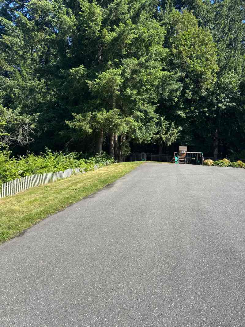 walking near me in Taylor Park in summer