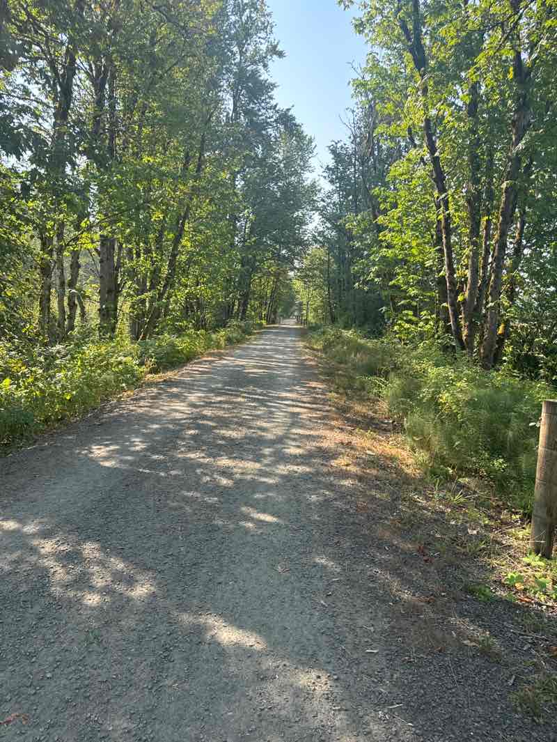walking near me in Duvall Park in summer