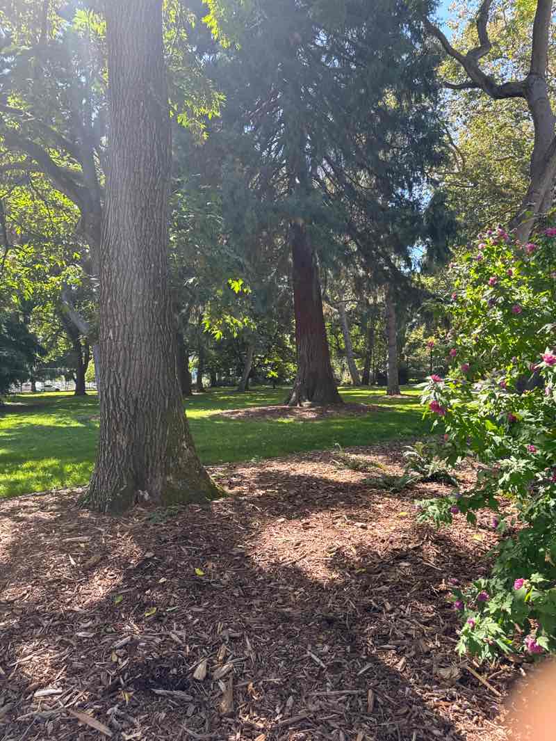 walking near me in Denny Park in summer