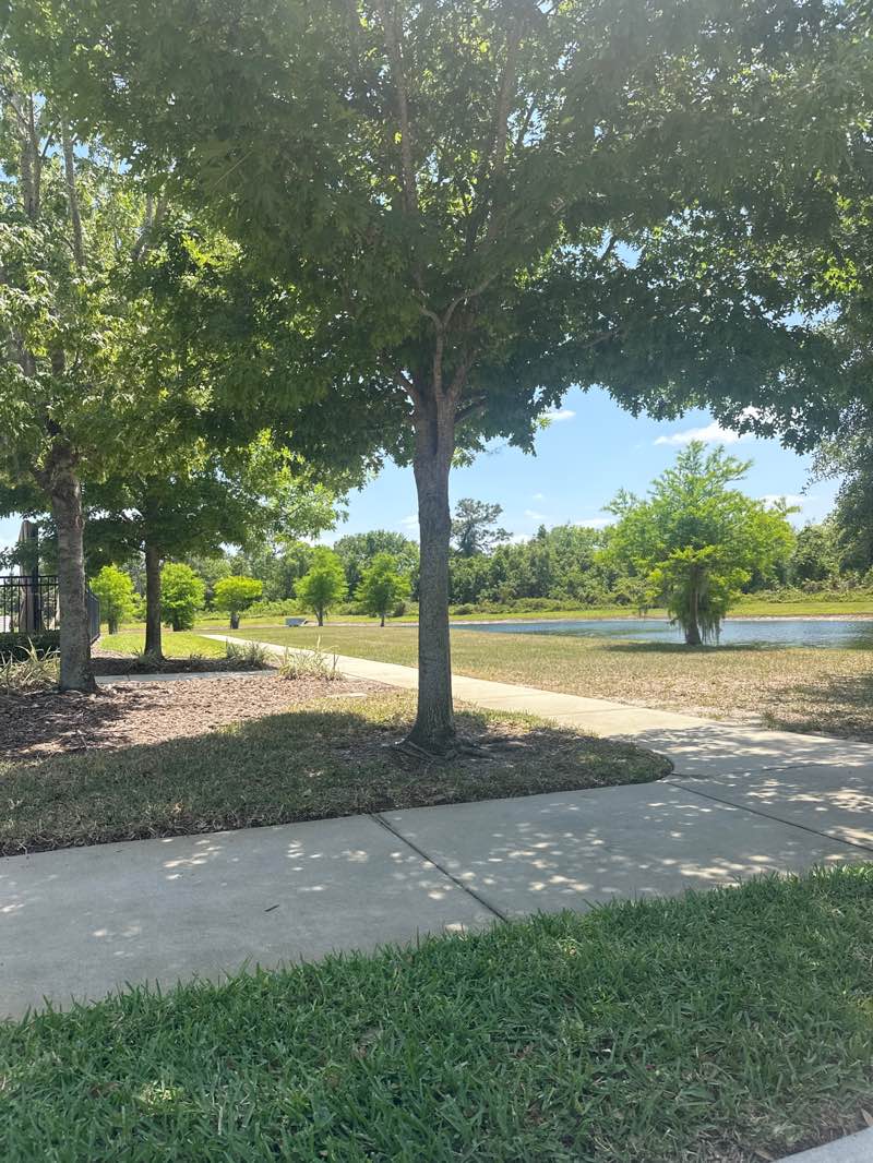 walking near me in Nova Pointe Neighborhood Park in spring