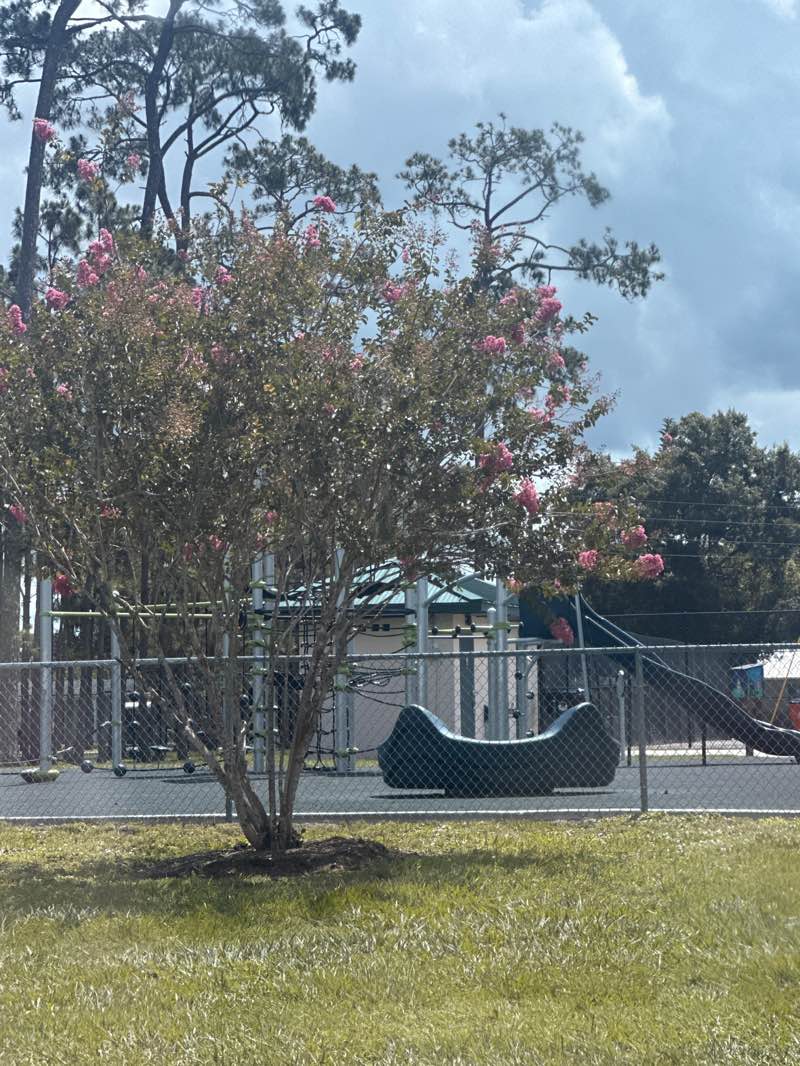 walking near me in Godwin Park in summer