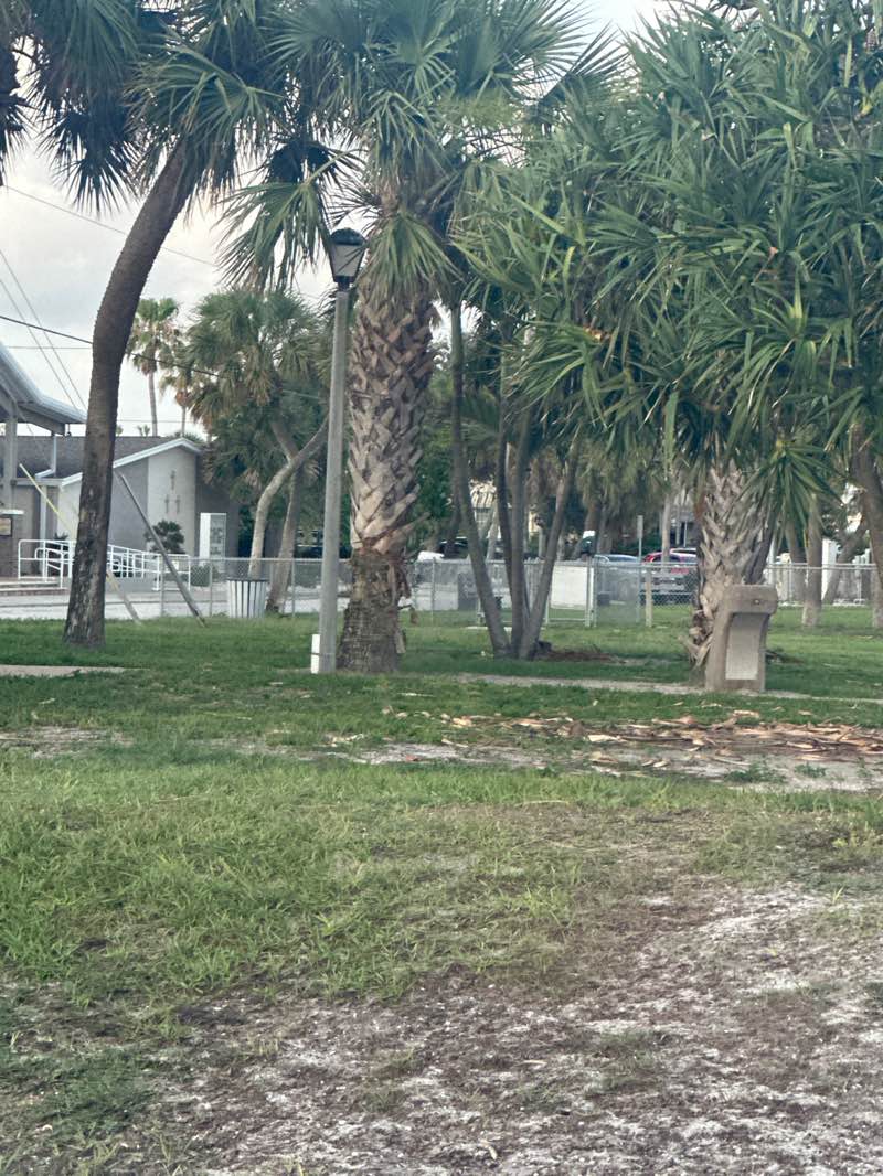 walking near me in Frank T. Hurley Park in summer