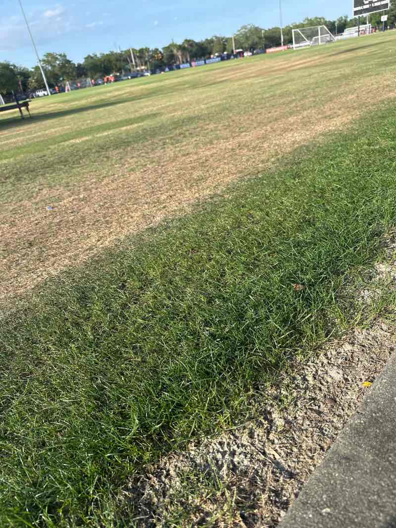 walking near me in Austin-Tindall Sports Complex in spring