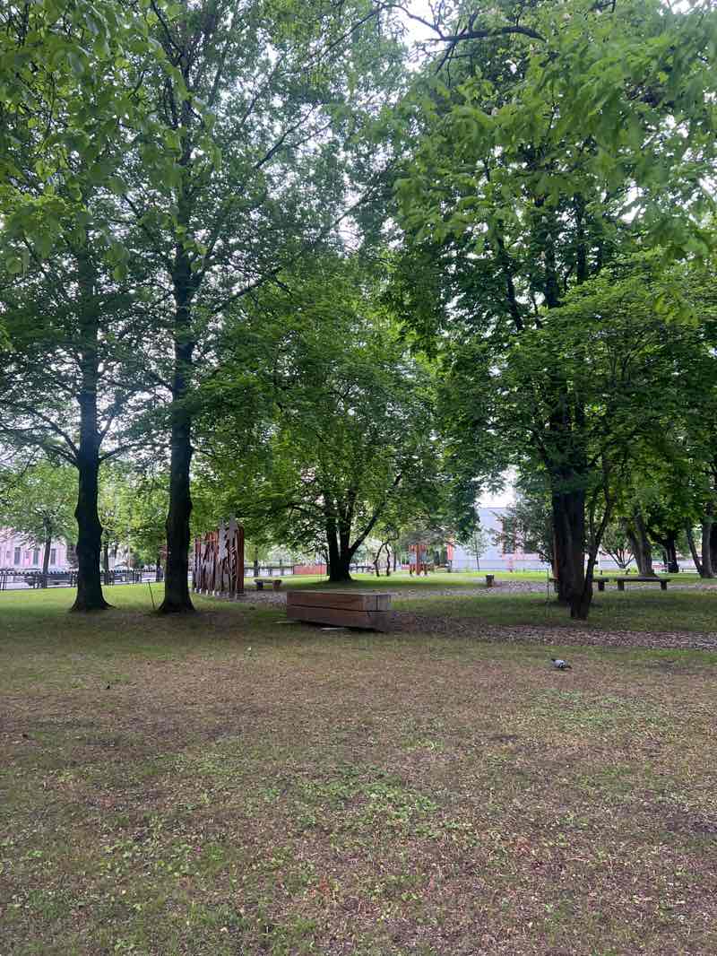 walking near me in Meža fakultātes parks in spring