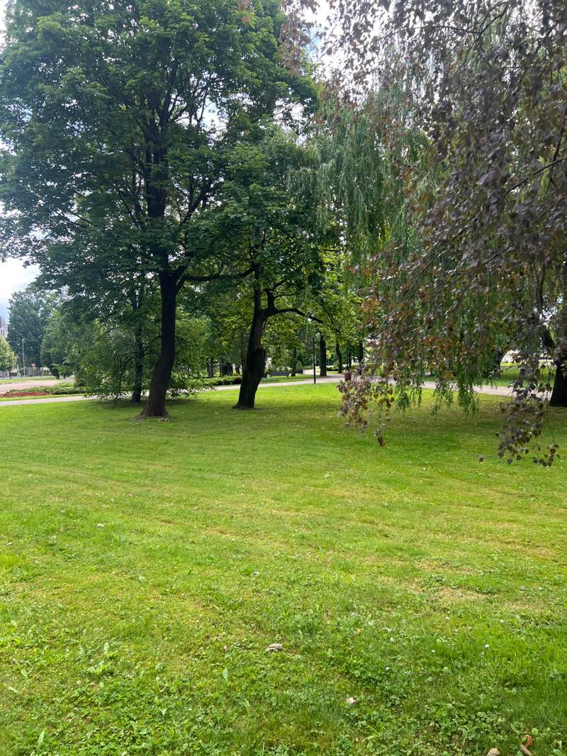walking near me in Stacijas Parks in summer