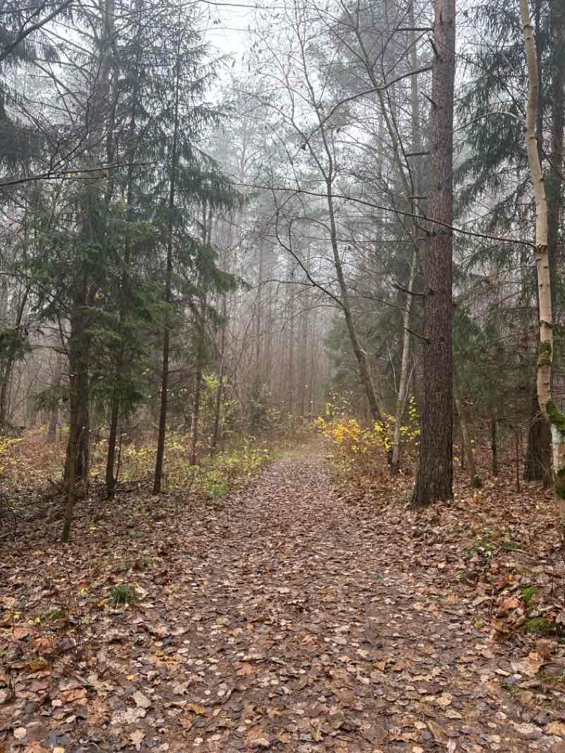 walking near me in Konstantino Sirvydo skveras in autumn