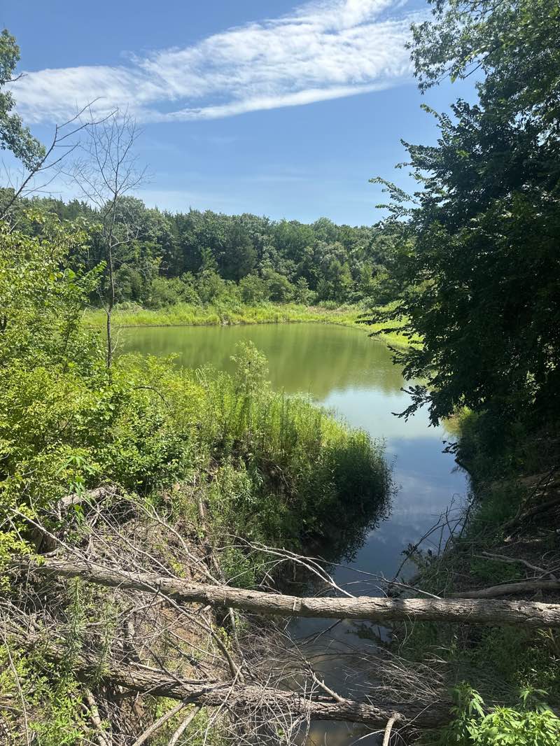 walking near me in The Bluffs Park in autumn