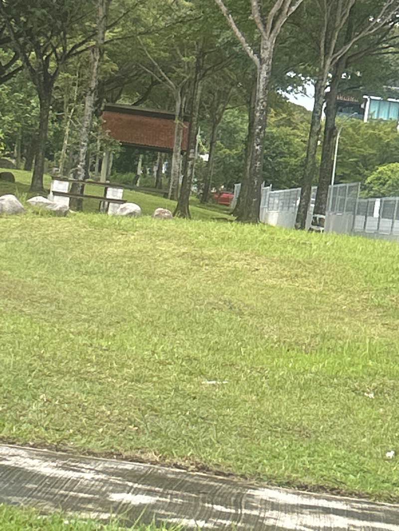 walking near me in Residential Park in winter