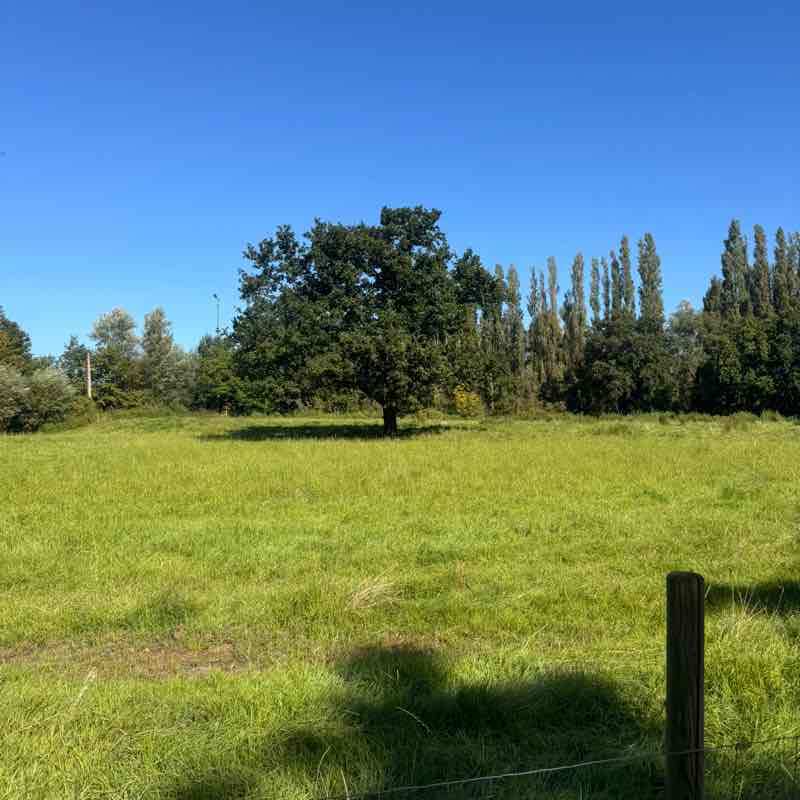 CEVA FIT - BENELUX Kelly post image