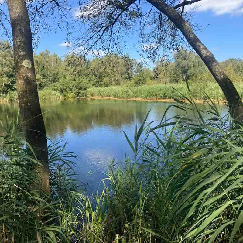 CEVA FIT - BENELUX Kelly post image