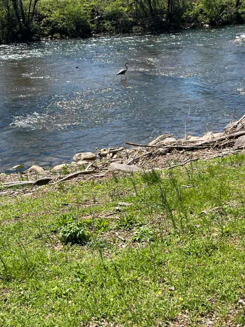 walking near me in Patriot Park in spring