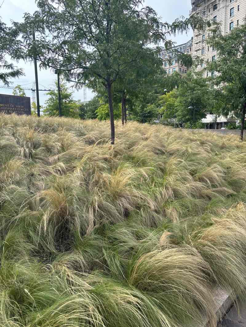 walking near me in Freedom Plaza in summer