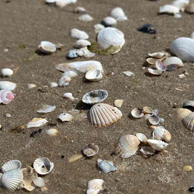 anna.jendrzejczak post 2