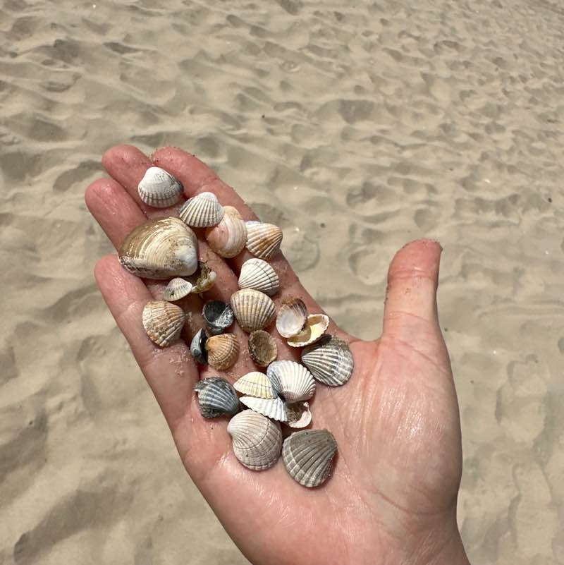 anna.jendrzejczak post 3