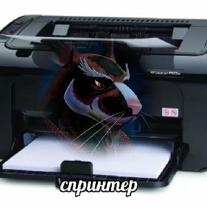 Вера 🐭🖤 profile