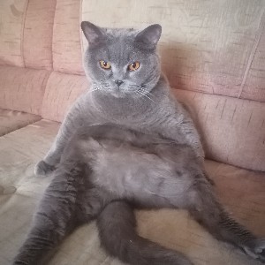 Сваринский profile