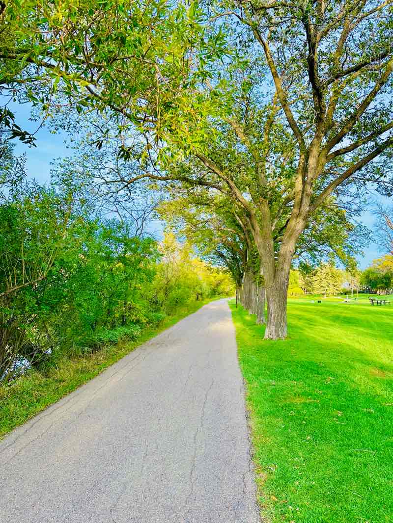 walking near me in Les Sherman Park in winter