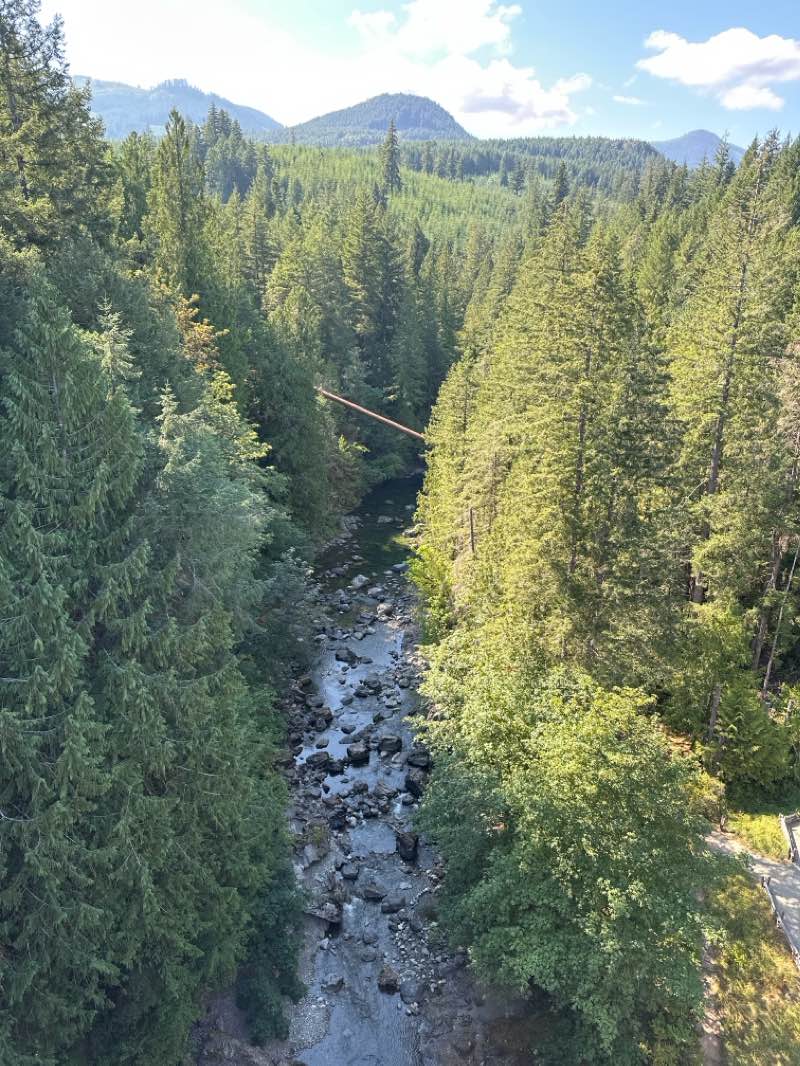walking near me in Kinsol Trestle Trail Recreation Site in winter