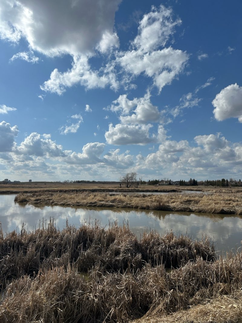 walking near me in Wascana Waterfowl Park in spring