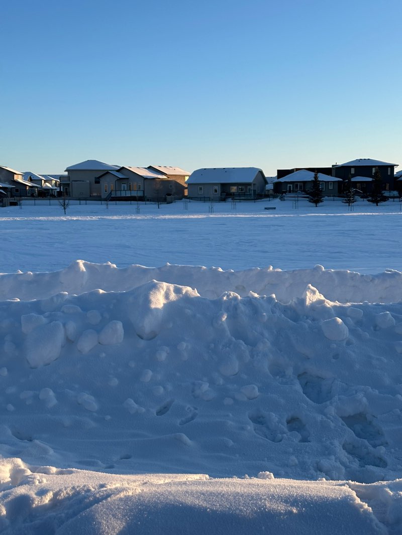 walking near me in Havilland Park in winter