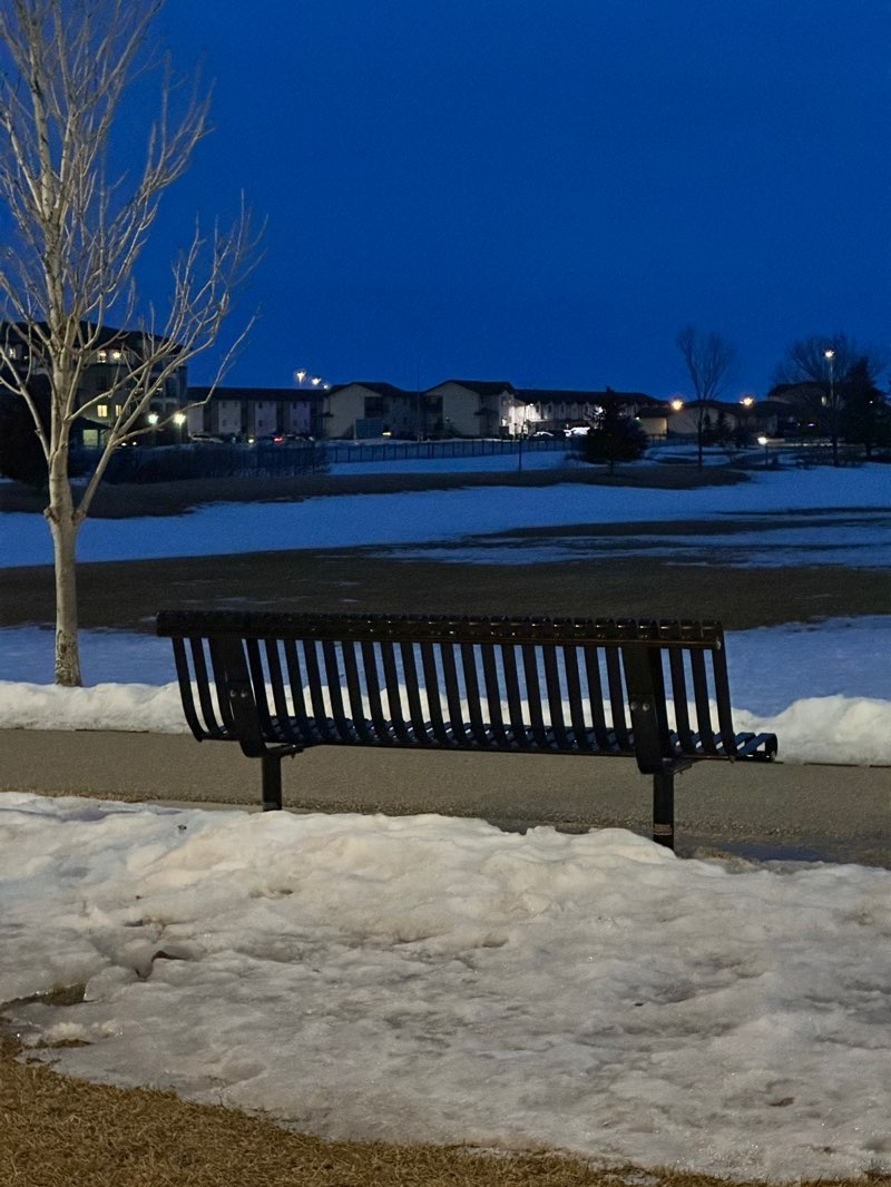walking near me in Fairchild Park in spring