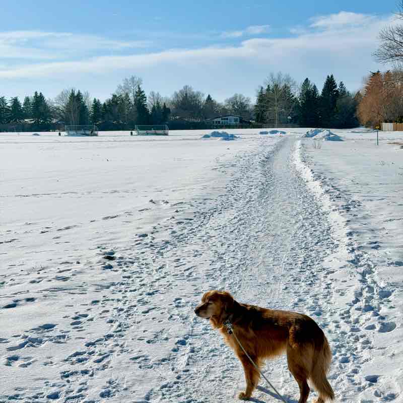 🇨🇦☘️ Kelly ☘️🇨🇦 post 1