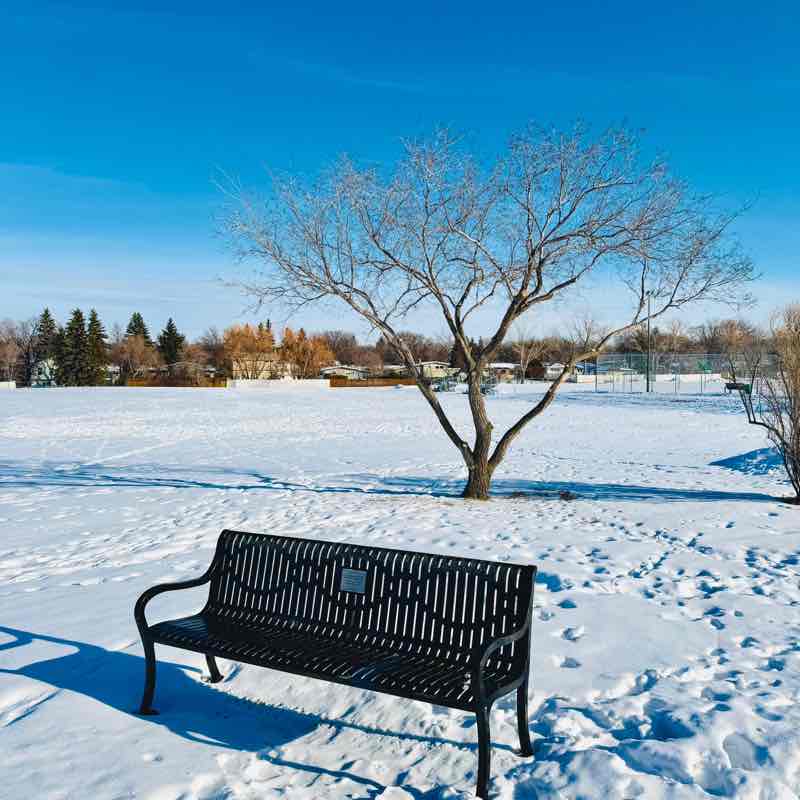 🇨🇦☘️ Kelly ☘️🇨🇦 post 1