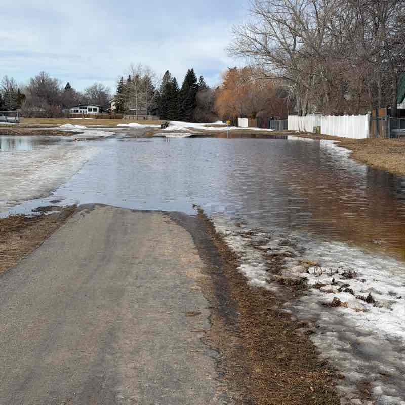 🇨🇦☘️ Kelly ☘️🇨🇦 post 1