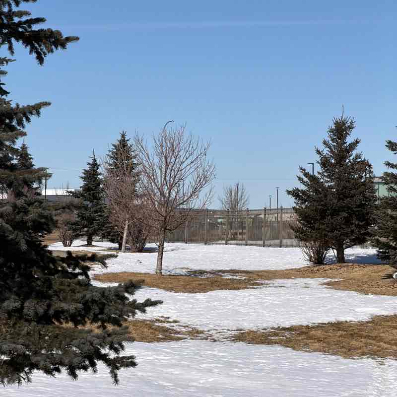 🇨🇦☘️ Kelly ☘️🇨🇦 post 1