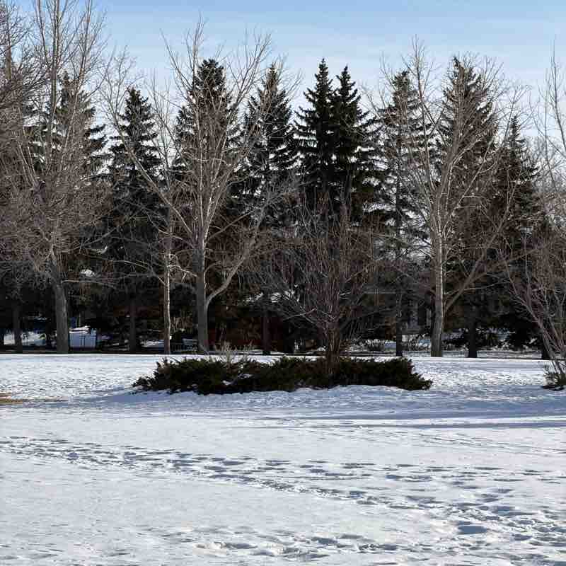 🇨🇦☘️ Kelly ☘️🇨🇦 post 1