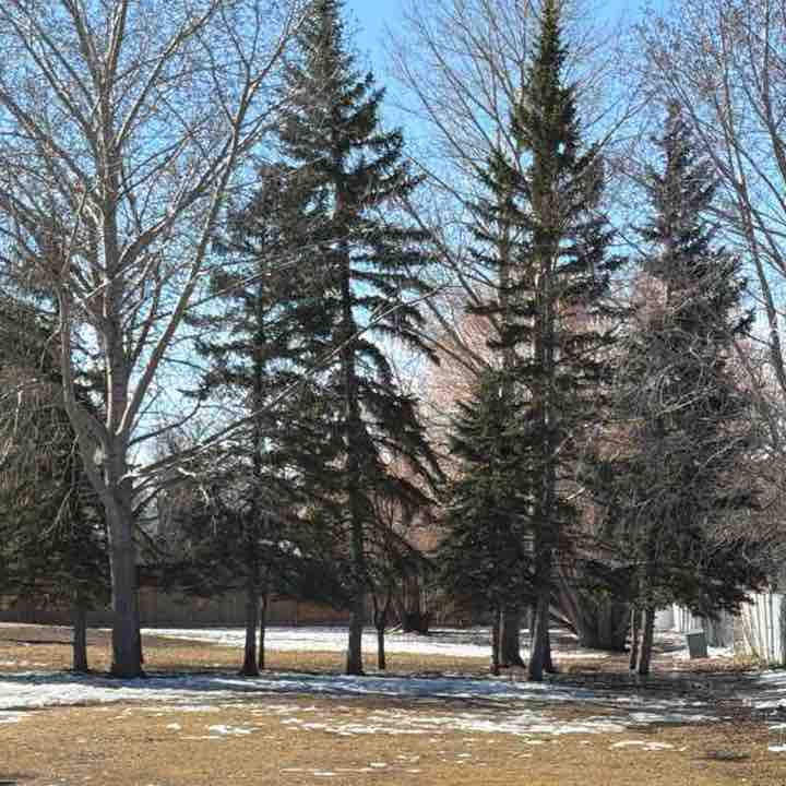 🇨🇦🌿Kelly 🌿🇨🇦 post 1